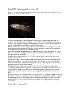 Quad 34-DIY-illustrated-guidelines-version-3-FR 